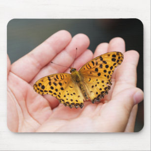 butterfly, insect, hand mouse pad