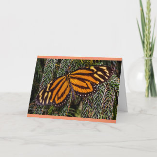 Butterfly Inspiration Card