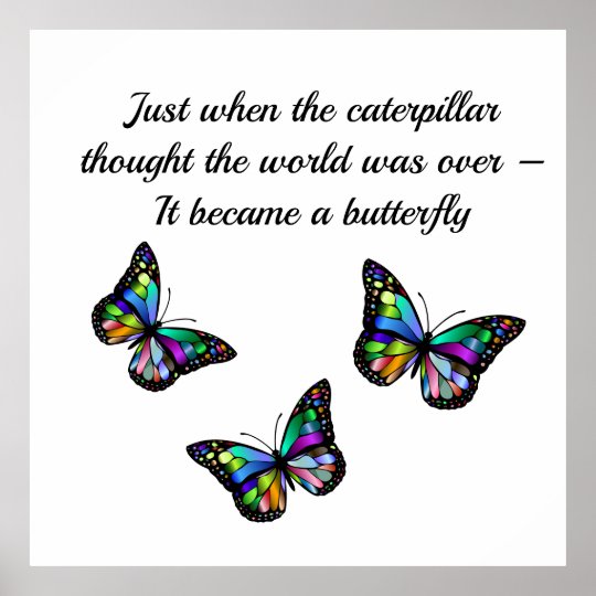 Butterfly Inspirational Encouragement Quote Poster | Zazzle.com