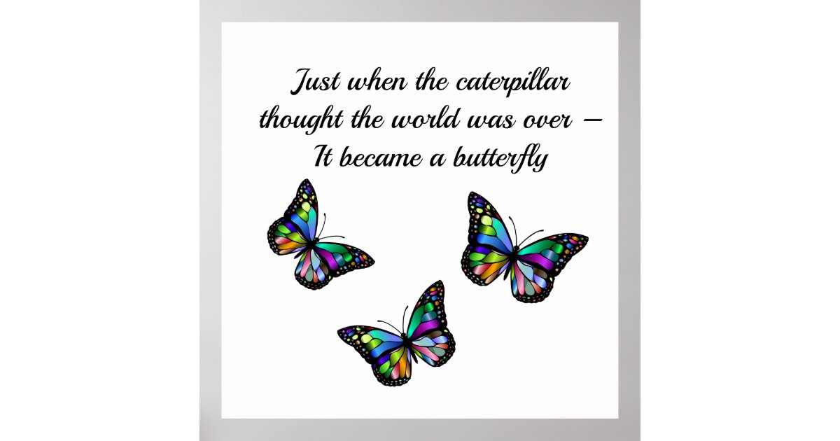 Butterfly Inspirational Encouragement Quote Poster | Zazzle.com