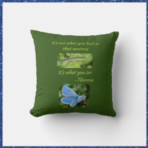 Butterfly Inspirational Quote Blue Outdoor Pillow