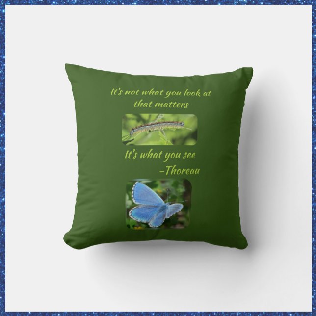 Butterfly Inspirational Quote Blue Outdoor Pillow (Creator Uploaded)