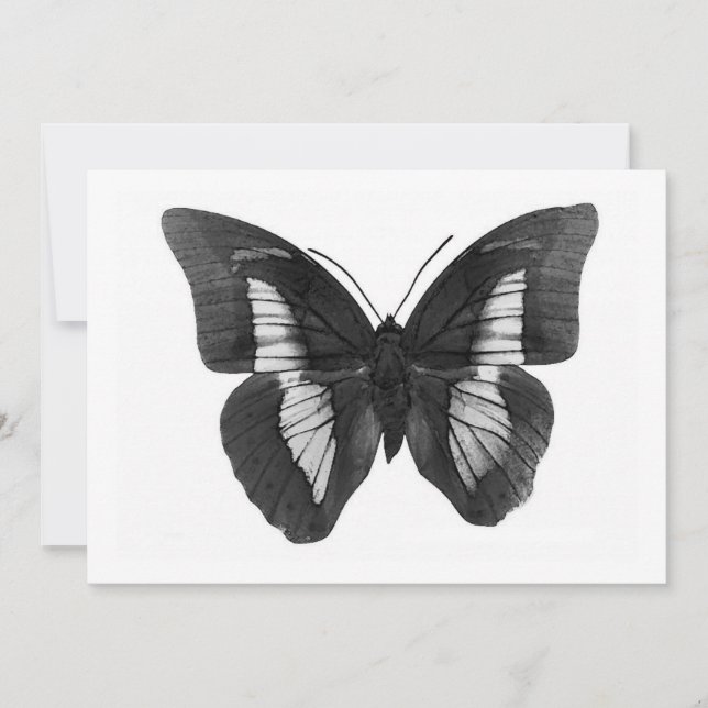 Butterfly Invitation (Front)