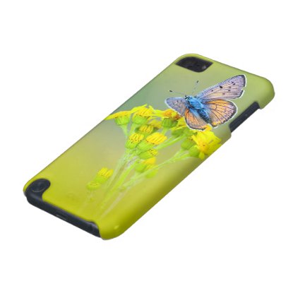 Butterfly iPod Touch 5G Cover