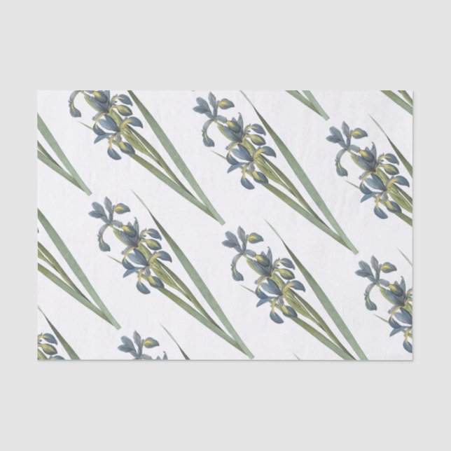 Butterfly iris Flower Pattern Tissue Paper (Front)