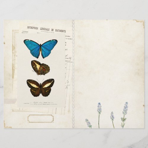 Butterfly Junk Journal Page FrontBack Vintage 