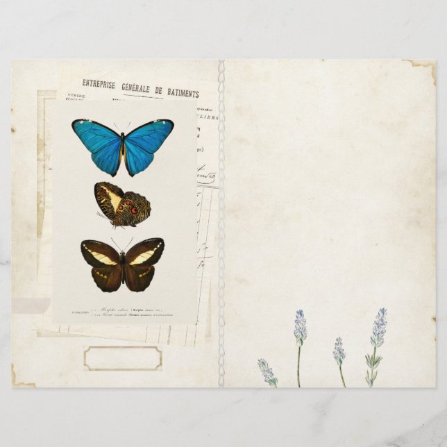 Butterfly Junk Journal Page Front/Back Vintage  (Front)
