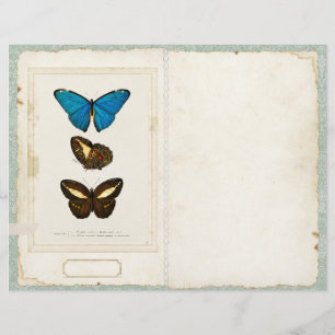Butterfly Junk Journal Page Front/Back Vintage