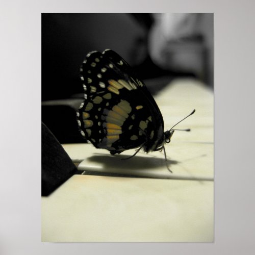 Butterfly Kisses Poster