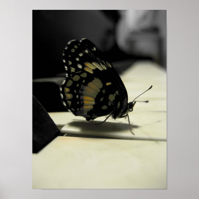 Butterfly Kisses Poster (Front)