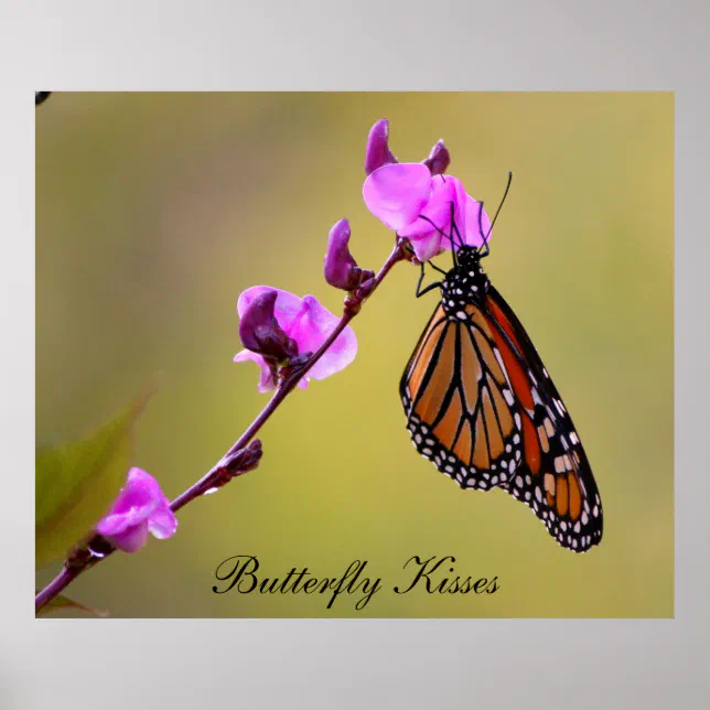 butterfly-kisses-poster-zazzle