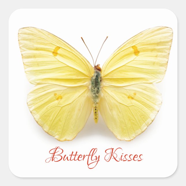 Butterfly Kisses Sticker (Front)