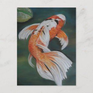 Butterfly Koi Fish Art Postcard