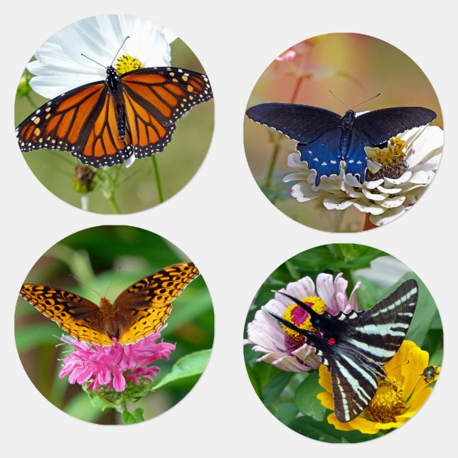 Butterfly Labels (Group)