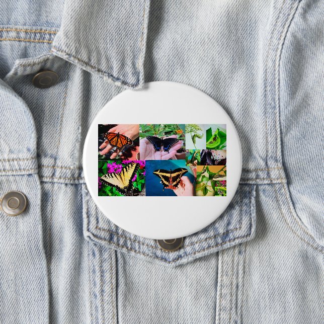 Butterfly Life  Button (In Situ)