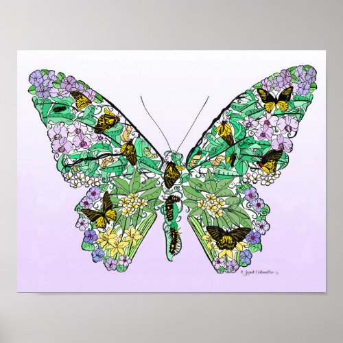 Butterfly Life Cycle Poster