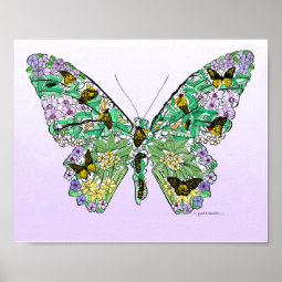 Butterfly Life Cycle Poster | Zazzle