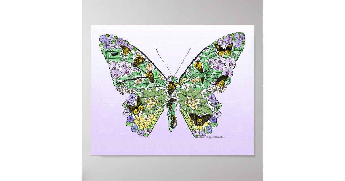 Butterfly Life Cycle Poster | Zazzle