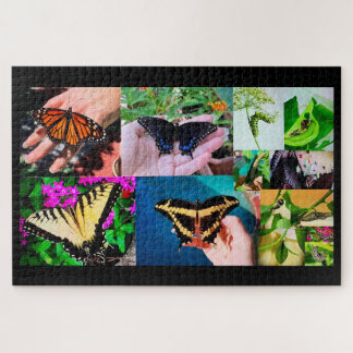 Butterfly Life Puzzle