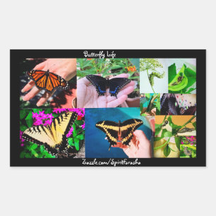 Butterfly Life Rectangular Sticker