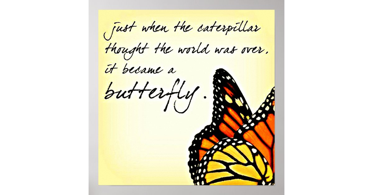Butterfly Life Struggle Inspirational Quotes Poster | Zazzle.com