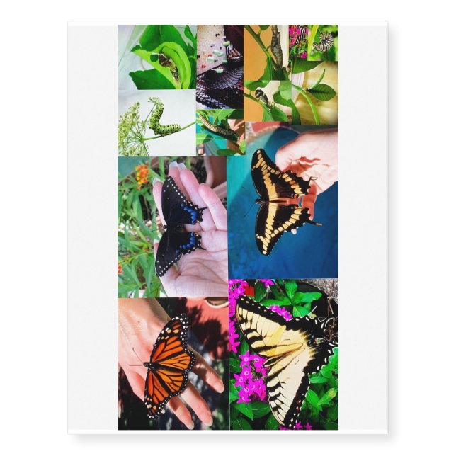 Butterfly Life  Temporary Tattoos (Front)