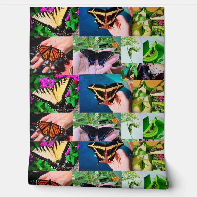 Butterfly Life  Wallpaper (Unrolling)