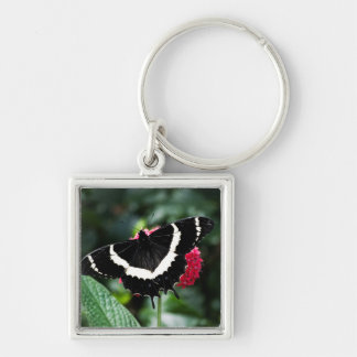 Butterfly Lolipop Keychain