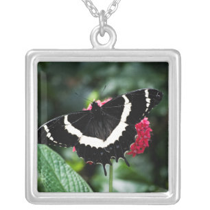 Butterfly Lolipop Necklace