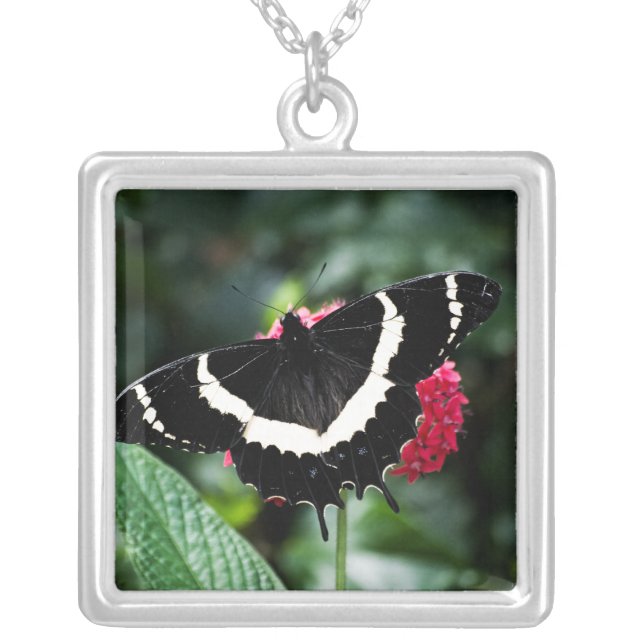 Butterfly Lolipop Necklace (Front)