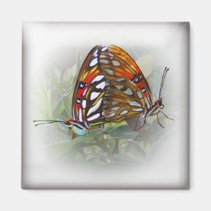 Butterfly Love Magnet