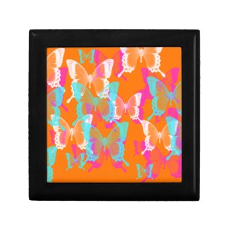 butterfly LsD in orange background