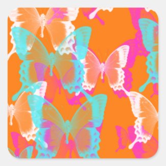 butterfly LsD in orange background