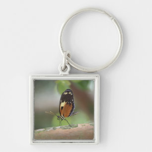 Butterfly Macro Keychain
