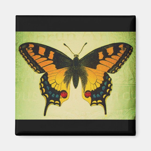 butterfly magnet (Front)