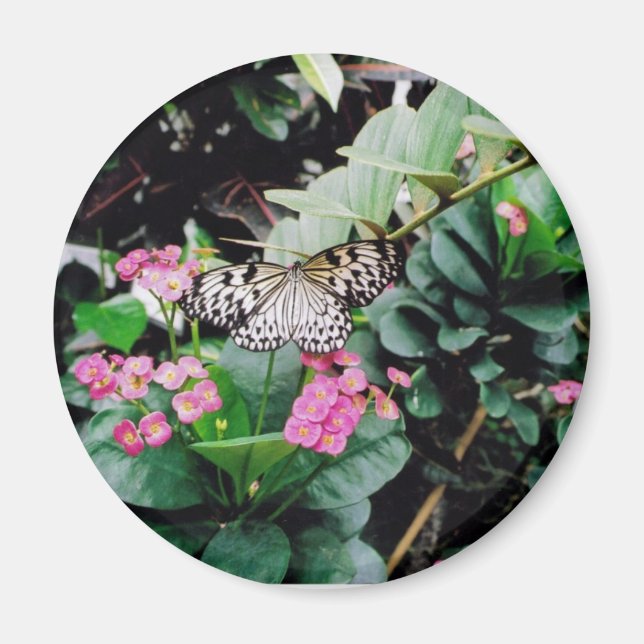 Butterfly Magnet (Front)