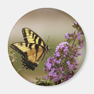 Butterfly Magnet