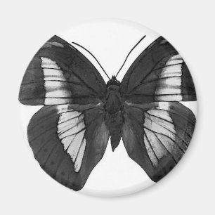 Butterfly Magnet
