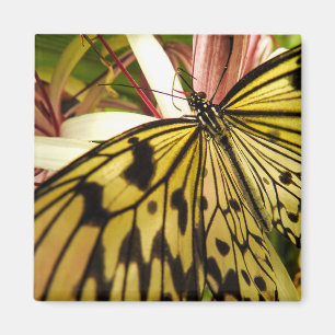 Butterfly Magnet