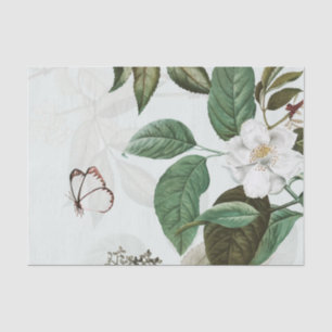 BUTTERFLY MAGNOLIA Tissue Paper