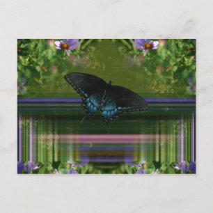 Butterfly Mantle Postcard