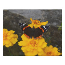 Butterfly & Marigolds Faux Wrapped Canvas Small