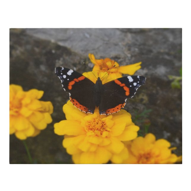 Butterfly & Marigolds Faux Wrapped Canvas Small (Front)