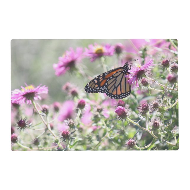 Butterfly Meadow Placemat (Front)