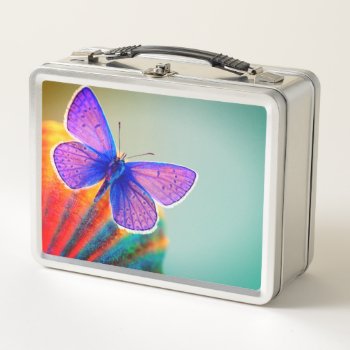 Butterfly Metal Lunch Box by MarblesPictures at Zazzle