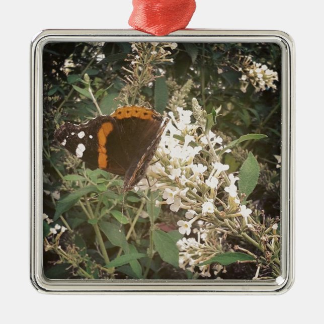 Butterfly Metal Ornament (Front)
