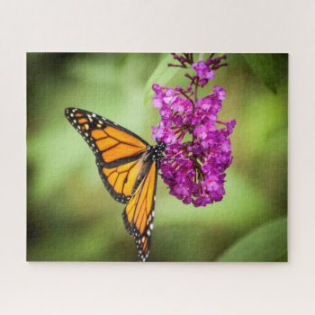 Butterfly Monarch Moth Jigsaw Puzzle by LivingLife at Zazzle