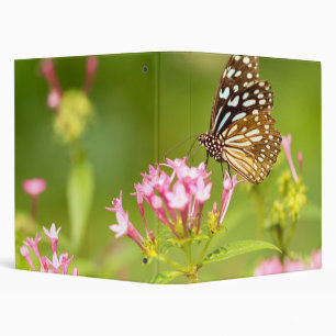 butterfly moth 3 ring binder