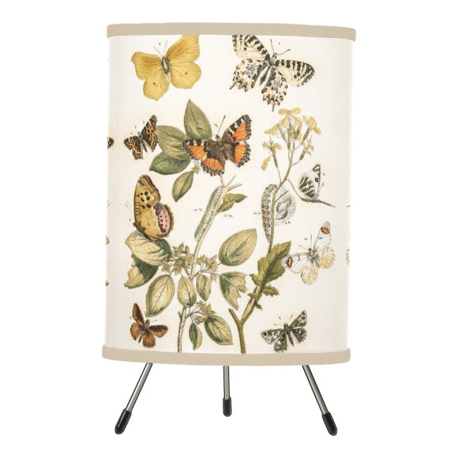 Butterfly, Moth and Caterpillars Tripod Lamp (Front)