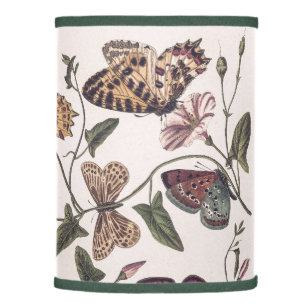 Butterfly & Moth by Paul Gervais Lamp Shade
